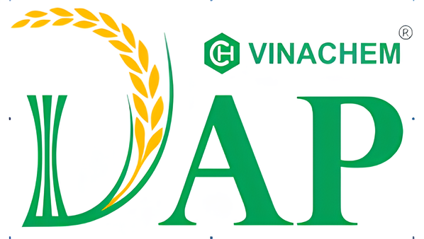 Công ty Cổ phần DAP - VINACHEM